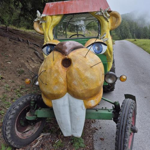 Bild von der Bibirella