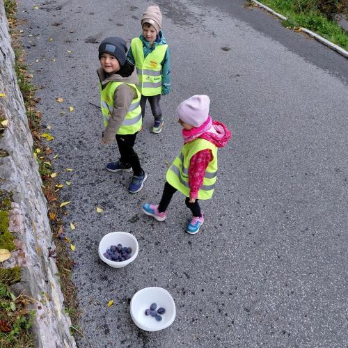 Kinder beim Sammeln