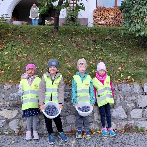 Kinder mit Zwetschken